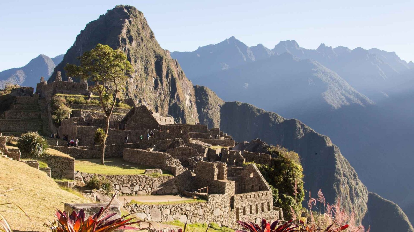 Machu Picchu Tour Guide